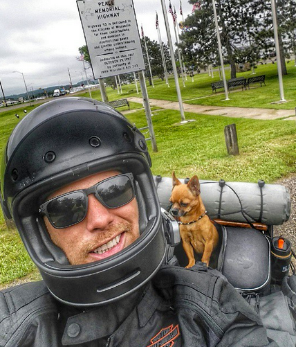 chihuahua on motorcycle with helmet